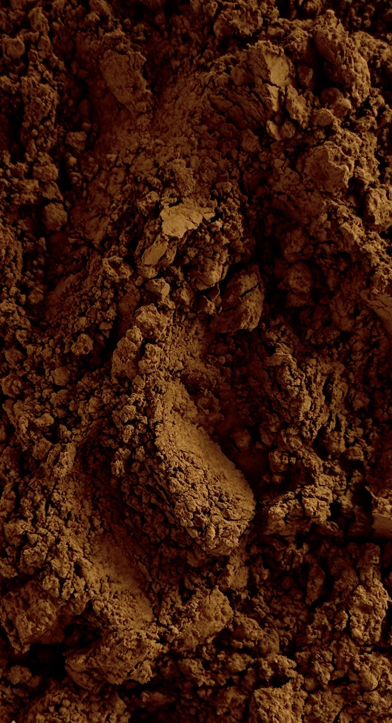 Japanese Hojicha Powder 50g